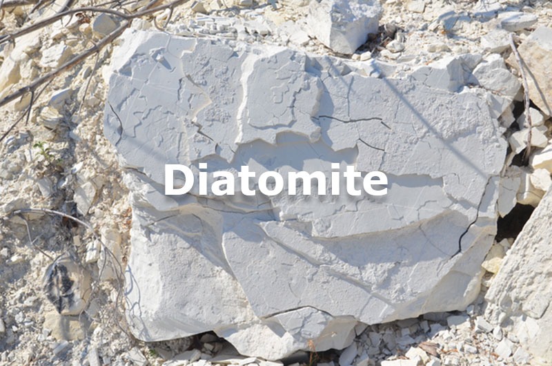 Diatomite: Đặc điểm và ứng dụng trong đời sống, công nghiệp